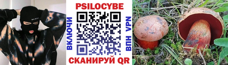 Псилоцибиновые грибы Cubensis  Купить  Нальчик 